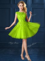 Tulle Bateau Cap Sleeves Lace Up Lace and Appliques Quinceanera Dama Dress in Yellow Green(SKU BMT0137B-12BIZ)