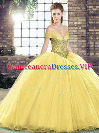 Dynamic Gold Sleeveless Organza Brush Train Lace Up 15th Birthday Dress for Military Ball and Sweet 16 and Quinceanera