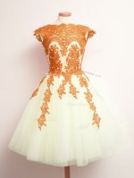 Amazing Mini Length Multi-color Quinceanera Court Dresses Tulle Sleeveless Appliques