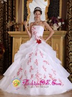 Americus Georgia/GA Wonderful White A-Line / Princess Quinceanera Dress For Strapless Organza With Appliques And Hand Flower