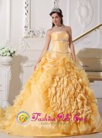 Exquisite Gold Quinceanera Dress For Strapless Chapel Train Taffeta and Organza pick-ups Beading Decorate Wasit Ball Gown in Mountain Home Arkansas/AR