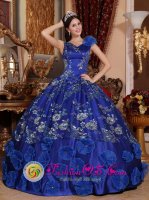 Hockessin Delaware/ DE V-neck Satin Refined Appliques Decorate Exquisite Blue Quinceanera Dresses