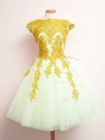 Chic Multi-color Lace Up Scalloped Appliques Damas Dress Tulle Sleeveless