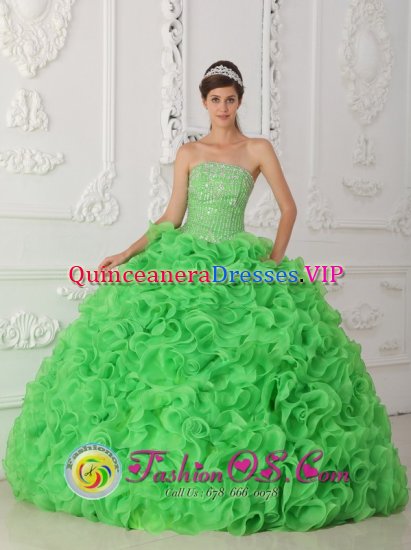 Sucre colombia Beautiful Rolling Flowers Green Quinceanera Dress For Strapless Organza With Beading Ball Gown - Click Image to Close