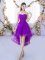 Modern High Low Eggplant Purple Damas Dress Tulle Sleeveless Lace