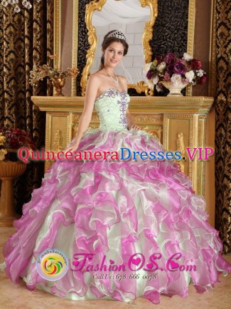 Latest Fuchsia and Apple Green Organza With Appliques Floor-length Peine Germany Quinceanera Dress Sweetheart Ball Gown