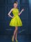 Clearance Scoop Sleeveless Zipper Court Dresses for Sweet 16 Yellow Green Tulle