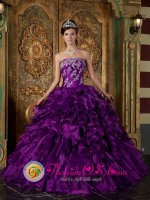 Padron Spain Pretty Eggplant Purple Appliques and Ruffles Decorate Bodice Quinceanera Dress For Strapless Organza Ball Gown