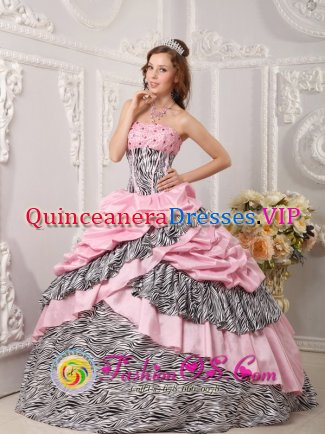 Keystone South Dakota/SD Romantic Pink Quinceanera Dress Taffeta and Zebra For Sweet 16 With Pick-ups Beading Ball Gown