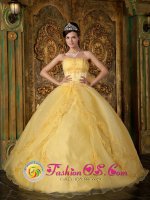 Key West Florida/FL Gorgeous Appliques Decorate Bodice Yellow Quinceanera Dress In New York Strapless Organza Ball Gown