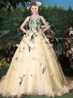 Scoop Sleeveless Appliques Lace Up Sweet 16 Quinceanera Dress with Champagne Brush Train(SKU YCQD0155-1BIZ)