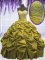 Dazzling Pick Ups Brown Sleeveless Taffeta Lace Up Vestidos de Quinceanera for Military Ball and Sweet 16 and Quinceanera