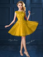 Fantastic Gold Cap Sleeves Knee Length Lace and Appliques Lace Up Court Dresses for Sweet 16