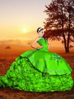 Cheap Brush Train Ball Gowns Quince Ball Gowns Green Sweetheart Organza Sleeveless Lace Up