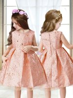 New Arrival Pink Zipper Womens Party Dresses Embroidery Sleeveless Mini Length(SKU YCLD078BIZ)