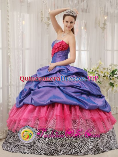 Colorful Exclusive Quinceanera Dress With purple Taffeta and pink Organza and Zebra Pick-ups In Dexter Michigan/MI - Click Image to Close