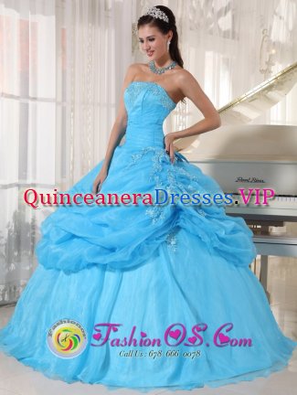 Hackensack New Jersey/ NJ Lovely Baby Blue Strapless Organza Floor-length Ball Gown Appliques Quinceanera Dress with Pick-ups