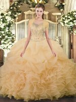 Ball Gowns Quince Ball Gowns Champagne Scoop Tulle Sleeveless Floor Length Clasp Handle