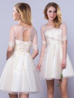Vintage Scoop Half Sleeves Appliques Lace Up Quinceanera Court Dresses(SKU BMT0246BIZ)