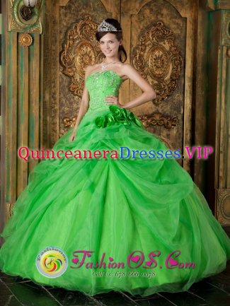 Blanco Texas/TX Spring Green Hand Made Flowers Appliques Decorate Fabulous Quinceanera Dress With Floor-length Organza