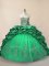 Sweetheart Sleeveless Brush Train Lace Up Quince Ball Gowns Green Tulle