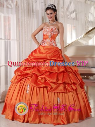 Naumburg Rust Red Quinceanera Dress With Appliques Decorate Bodice and Pick-ups Sweetheart Taffeta Ball Gown