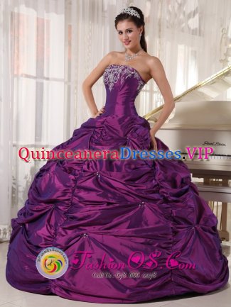 Eggplant Purple Eagle River Alaska/AK Quinceanera Dress with Strapless Embroidery Formal Style Taffeta Ball Gown