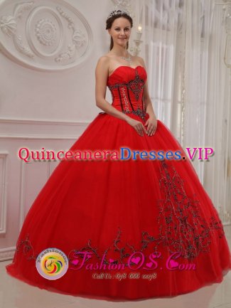 Waconia Minnesota/MN Elegent Tulle Sweetheart Strapless Appliques Decorate Quinceanera Dress With Floor-length