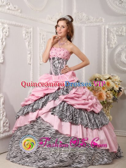 Antioquia colombia Romantic Pink Quinceanera Dress Taffeta and Zebra For Sweet 16 With Pick-ups Beading Ball Gown - Click Image to Close