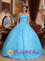 Cute Appliques Decorate Bodice Beaded Aqua Blue Wedding Dress in La Ceiba Honduras Strapless Organza Ball Gown(SKU QDZY046y-3BIZ)