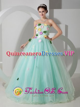 Apple Green Organza Quinceanera Dress With Hand Made Flowers For Celebrity In Frankenmuth Michigan/MI