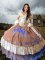 Multi-color Taffeta Lace Up Off The Shoulder Sleeveless 15th Birthday Dress Brush Train Embroidery and Ruffled Layers