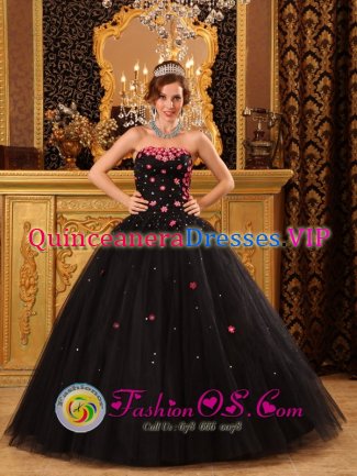 Bessemer Alabama/AL Tiny Flowers Decorate Popular Black Quinceanera Dress For Strapless Tulle Ball Gown