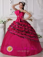 Saint George Island Florida/FL Bowknot Beaded Decorate Zebra and Taffeta Hot Pink Ball Gown For