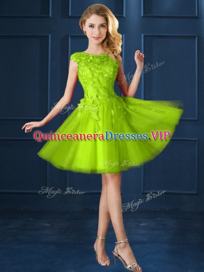 Tulle Bateau Cap Sleeves Lace Up Lace and Appliques Quinceanera Dama Dress in Yellow Green - Click Image to Close