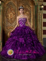 Tiffany & Co Madisonville Kentucky/KY Appliques and Ruffles Decorate Bodice Pretty Eggplant Purple Quinceanera Dres For Strapless Organza Ball Gown[QDZY244 y-7BIZ]