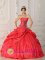 StanleyIdaho/ID Exquisite Red New Arrival Strapless Taffeta Appliques Decorate For Quinceanera Dress