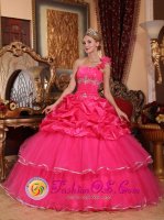 Custom Made One Shoulder Beading and Pick-ups Organza Romantic Hot Pink Quinceanera Dresses in Agoura Hills CA(SKU QDZY755y-8BIZ)