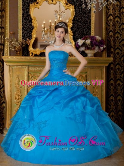South Euclid Ohio/OH Simple Sky Blue Strapless Appliques Organza Quinceanera Dress - Click Image to Close