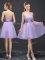 Chic Sweetheart Sleeveless Lace Up Court Dresses for Sweet 16 Lavender Organza