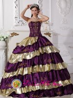 Etela-Suomen LAani Finland Beautiful Embroidery Decorate Purple and Gold Quinceanera Dress With Floor-length Taffeta