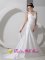 Florida Argentina Elegent Wedding Dress Column V-neck Ruched Bodice Court Train Satin Ruch and Appliques