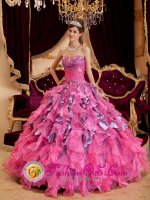 Sioux Falls South Dakota/SD Hot Pink Sweetheart Neckline Quinceanera Dress With Leopard and Organza Ruffled Skirt(SKU QDZY128J3BIZ)