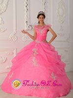 For Esperanza Dominican Republic V-neck Taffeta and Organza Appliques With Beading Decorate Bodice Latest Rose Pink Quinceanera Dress(SKU QDZY267y-4BIZ)