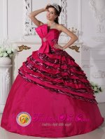 Bowknot Beaded Decorate Zebra and Taffeta Hot Pink Ball Gown For In L