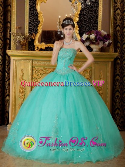 Brazoria Texas/TX AffordableTurquoise Strapless Organza Beading Ball Gown Quinceanera Dress - Click Image to Close