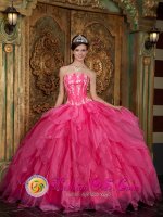 Salou Spain Gorgeous Strapless Organza Hot Pink Quinceanera Dress Appliques Ruffled Ball Gown