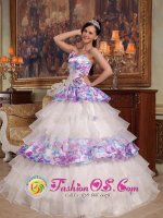 Seminole Florida/FL Exquisite Hand Made Flowers Elegant Quinceanera Dress For Straps Organza and Printing Ball Gown