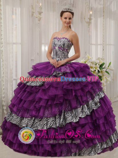 Seagrove Beach Florida/FL Zebra and Purple Organza With shiny Beading Affordable Quinceanera Dress Sweetheart Ball Gown - Click Image to Close