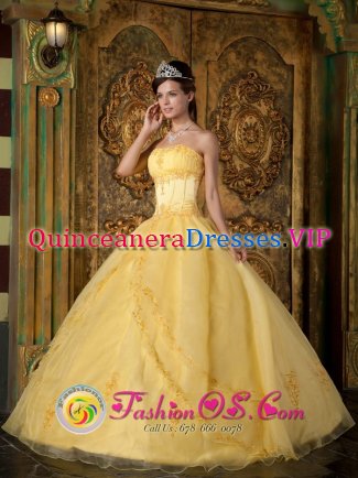 Lebanon Tennessee/TN Gorgeous Appliques Decorate Bodice Yellow Quinceanera Dress In New York Strapless Organza Ball Gown